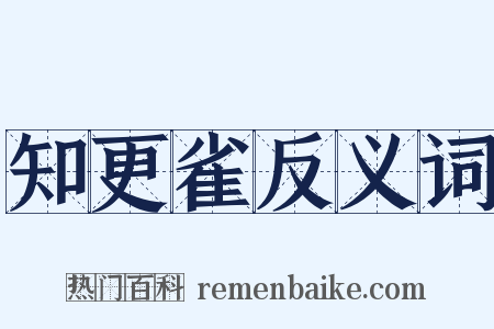 知更雀反义词是什么意思的图片